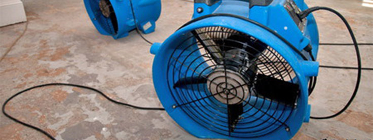 ventilateur bleu